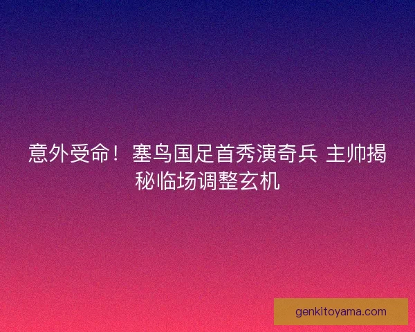 意外受命!塞鸟国足首秀演奇兵 主帅揭秘临场调整玄机 意外受命!塞鸟国足首秀演奇兵 主帅揭秘临场调整玄机