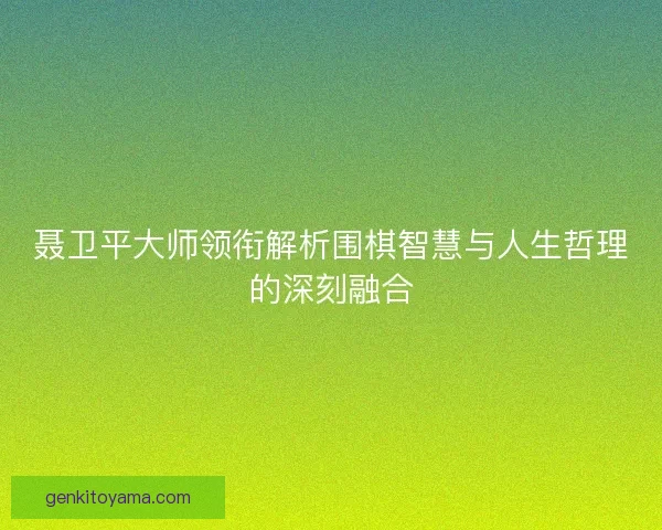聂卫平大师领衔解析围棋智慧与人生哲理的深刻融合